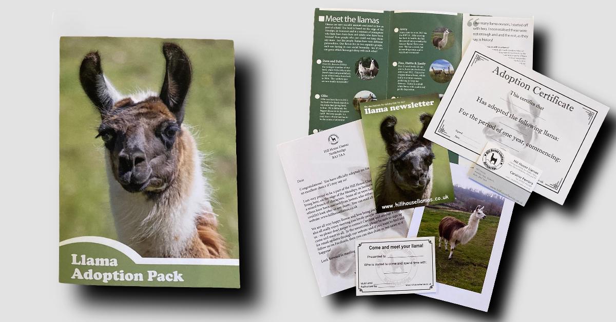 An example Hill House Llama adoption pack
