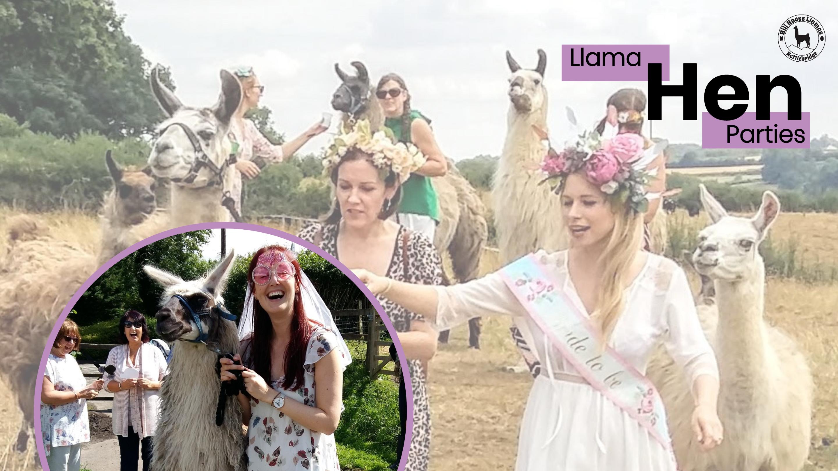 Hen, stag & birthday parties